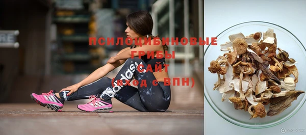 прущий лед Богородск